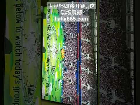 伊万教练表,现不佳,战术部署过,彩民之家,彩票分析,中彩网,双色球,大乐透,福彩,福利彩票,体育彩票,体彩,福彩3D,排列三,快乐8,彩票,数字彩,开奖查询,彩票走势图,专家预测,双色球分析,彩票开奖,即时开奖,彩票图表,数据图表,双色球图表,彩票专家