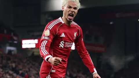 欧联博洛尼亚主场迎战布兰预测分析